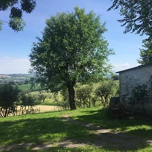 Bed&Breakfast Montségur
